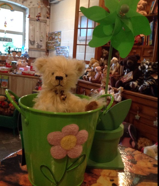 BearsintheBarn's profile picture. Based at Alcumlow Farm, Chance Hall Lane CW12 4TL. Handcrafted teddy bears, teddy bear hospital, traditional wooden toys & gifts.