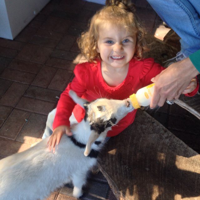 ericasweet1989's profile picture. 