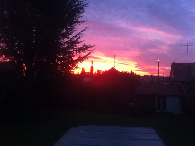 loren_marci's profile picture. 