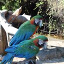 sandra vannini - @sandrajcv - Twitter