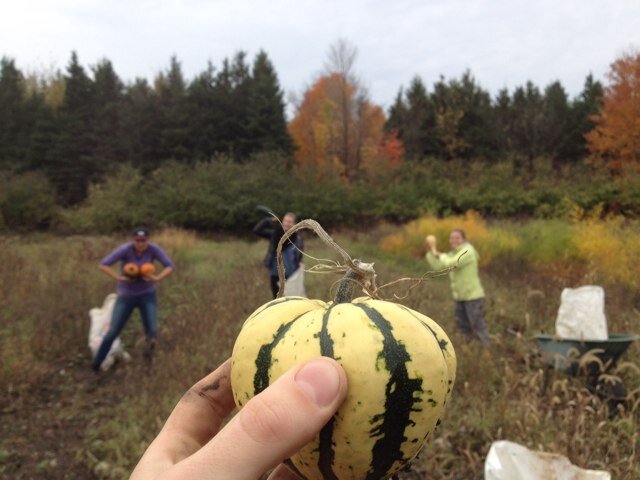 Organic Campus, a nonprofit service @ McGill University, is dedicated to increasing community access to foods that are local, organic, and/or vegan/ gluten-free