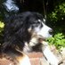 Mary Crowley (@marycrowley4) Twitter profile photo