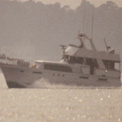 Chriscraft55Dan's profile picture. 