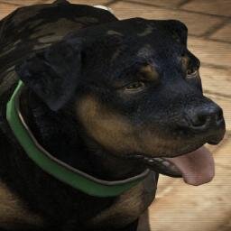 ChopDaDawg's profile picture. 