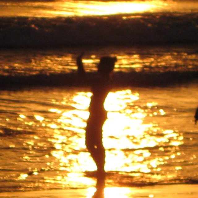 puma_classic's profile picture. 