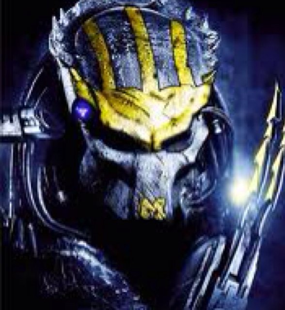 explodingcats2's profile picture. 