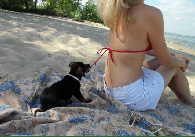 Ici pleins de photos insolites ! De bon gouts ou pas ! Suivez a vos risques et perils...