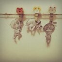 なってぃ (@0125155) Twitter