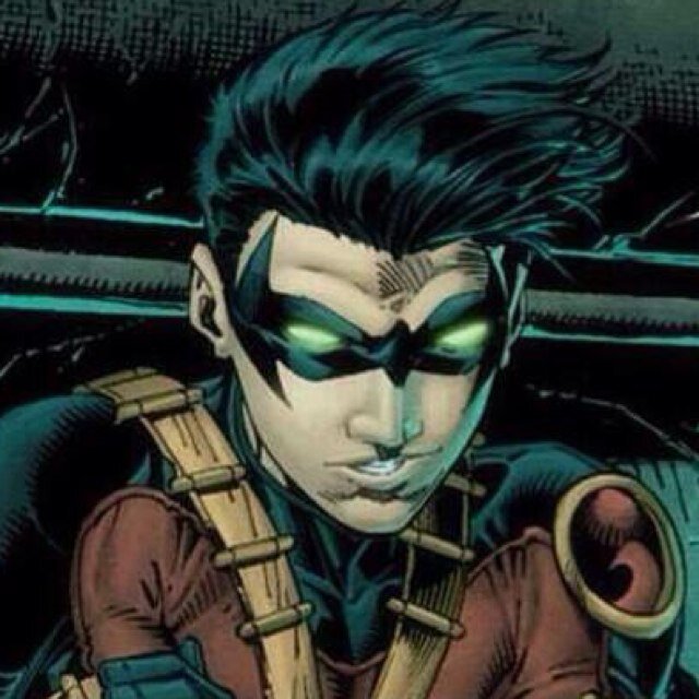 Timothy Drake. Red Robin. Leader of the Teen Titians. Taken in by the Bat. [22 Years Old][AU] [Semi-Canon] [Single]