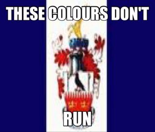 Atlacinassx's profile picture. A true critic ought to dwell rather upon excellencies than imperfections.