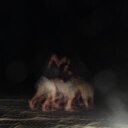 Walker Wilson - @walker_wilson - Twitter