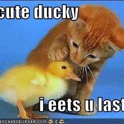 Conciseness's profile picture. 