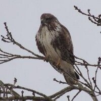 eddy (@edgeal61) 's Twitter Profile