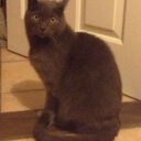 Annie Edwards - @MytJust - Twitter