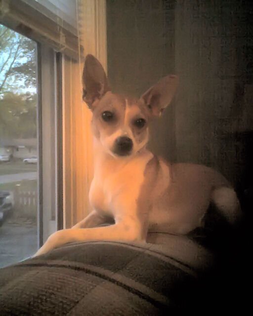 andrewschultz78's profile picture. 