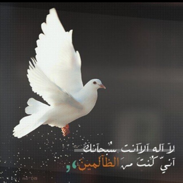 لــآ تُحـرق نَفـسكَـ لـ تُضـيء لِـ غـيـركَـ ! عـنـدمـآا تُـصبـِح رَمــآاد لـنْ تَــجــد مـنْ يُــضـيُ لــكَـ ..! آلـخـآص مُهـمل
