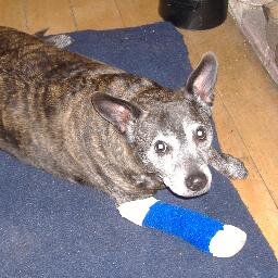 BillyBunter4's profile picture. 