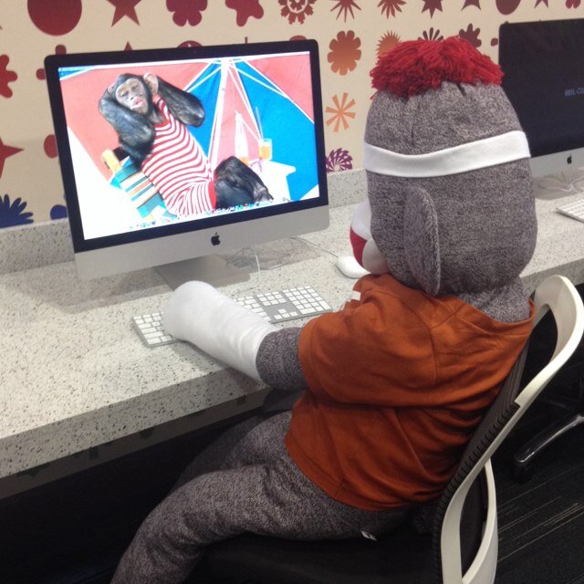 TXMonkeyBiz's profile picture. I like to explore Austin and do monkey things, check out my Insta @TXMonkeyBiz and Facebook me