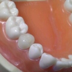 DrSweetTeeth's profile picture. Dental Student - Tooth Fairy - Blogger