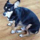 Clara Benjamin - @780_benjamin - Twitter