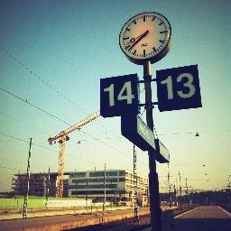 NetFetch's profile picture. 