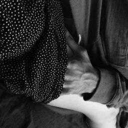 ervguzek's profile picture. 