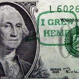 Creating solutions to issues facing the planet and the people. Hemp Solutions is your source for Eco-conscious Products.