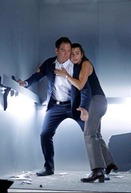 Ziva and tony dating