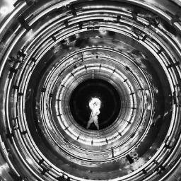 vielsch's profile picture. 