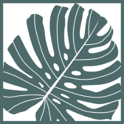 Makimoplant 観葉植物のお店 Makimoplant Twitter