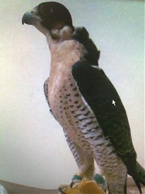 z_779's profile picture. 