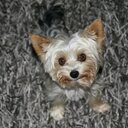 Joe Schreiber - @Feivel2011 - Twitter