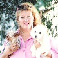 MammyBear1 (@mammybear1) 's Twitter Profile