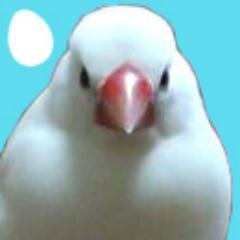 花ままおさんのプロフィール画像