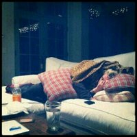 قحبة حائل (@manuoka11) Twitter profile photo