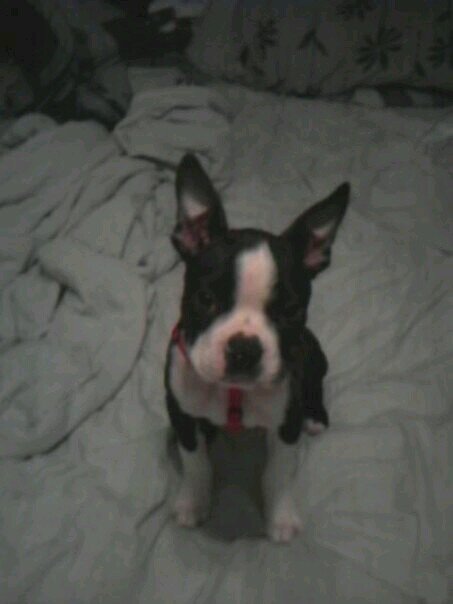 zanesmom2001's profile picture. 