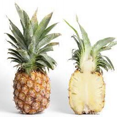 ぱいなっぷるさま