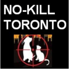 #NoKill advocate 4 companion animals.  #FeralCat caretaker. Proud member of #FordNation. #EndBSL I block Putin-istas #IStandWithUkraine
ireneborecky@rogers.com