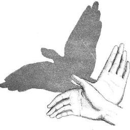 We work for the creation of  video sign language dictionaries around the world.