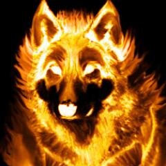 Un lobo en tierras desconocidas