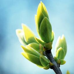 Almawhedc's profile picture. How to Earn Money Selling Your Digital Photos  http://t.co/nt7wylgly8