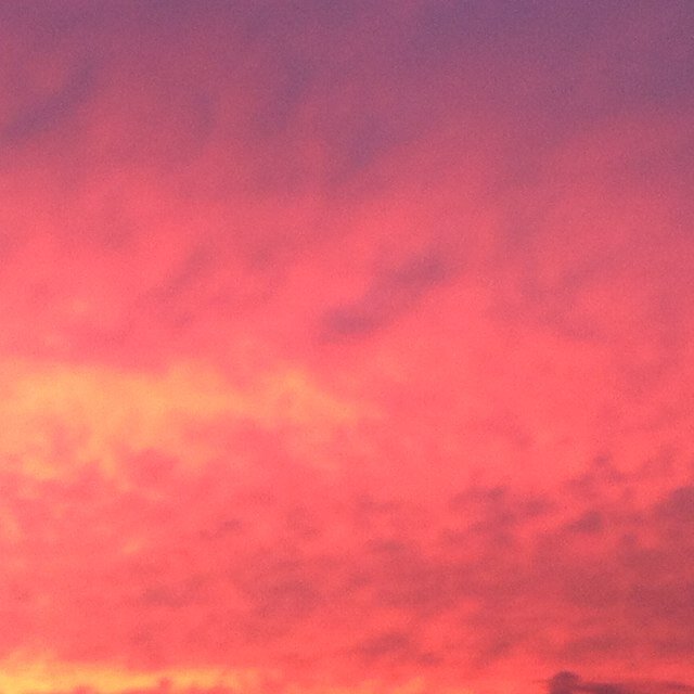 TrueSpokenHue's profile picture. Regret nothing.