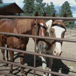 Heavenly Father is my guide on the trail of life.  AJ is my husband.  Red and Chevy were my horses, and the river above was the Rio Grande.