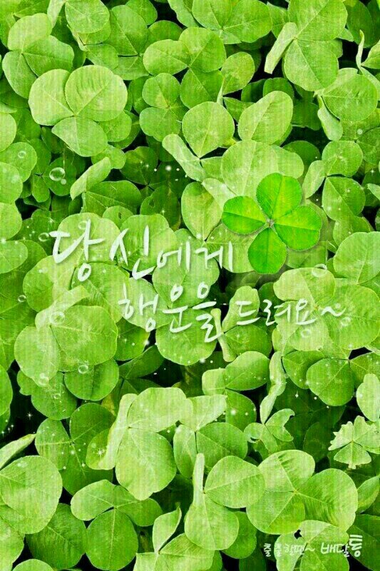 자유대한민국을 사랑하는 국민