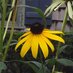 Sherry Hopkins (@hpknssr) Twitter profile photo