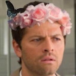 professional angel meat suit & depressed lover of amelia.