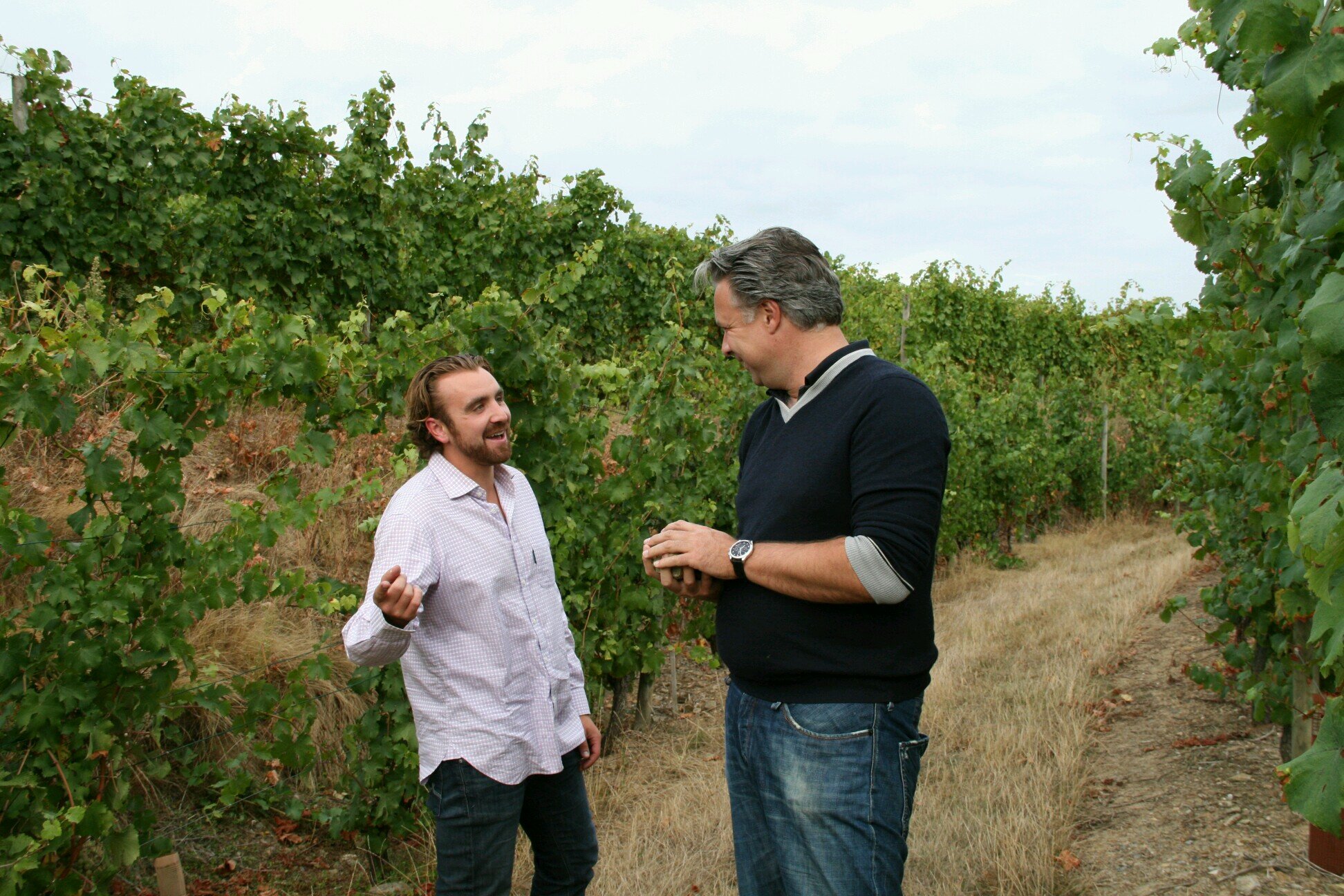 Wandering French Wine Country. Views and opinion are my own.