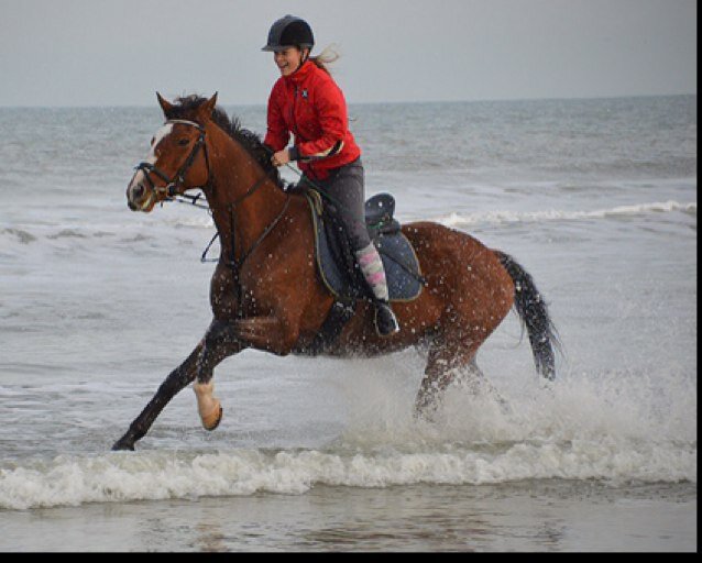 16 jaar | DE-Z1 + 1 dressuur, DB + 13 springen, VD&NH | Hattrick Steed | 4 vmbo | 4B | directioner&mixer | Joyce en Jaydee de Vos, Eva Roemaat en Jesse Drent