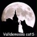 Valldemossacats (@valldemossacats) Twitter profile photo