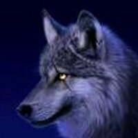 El Llop (@_el_llop_) 's Twitter Profile